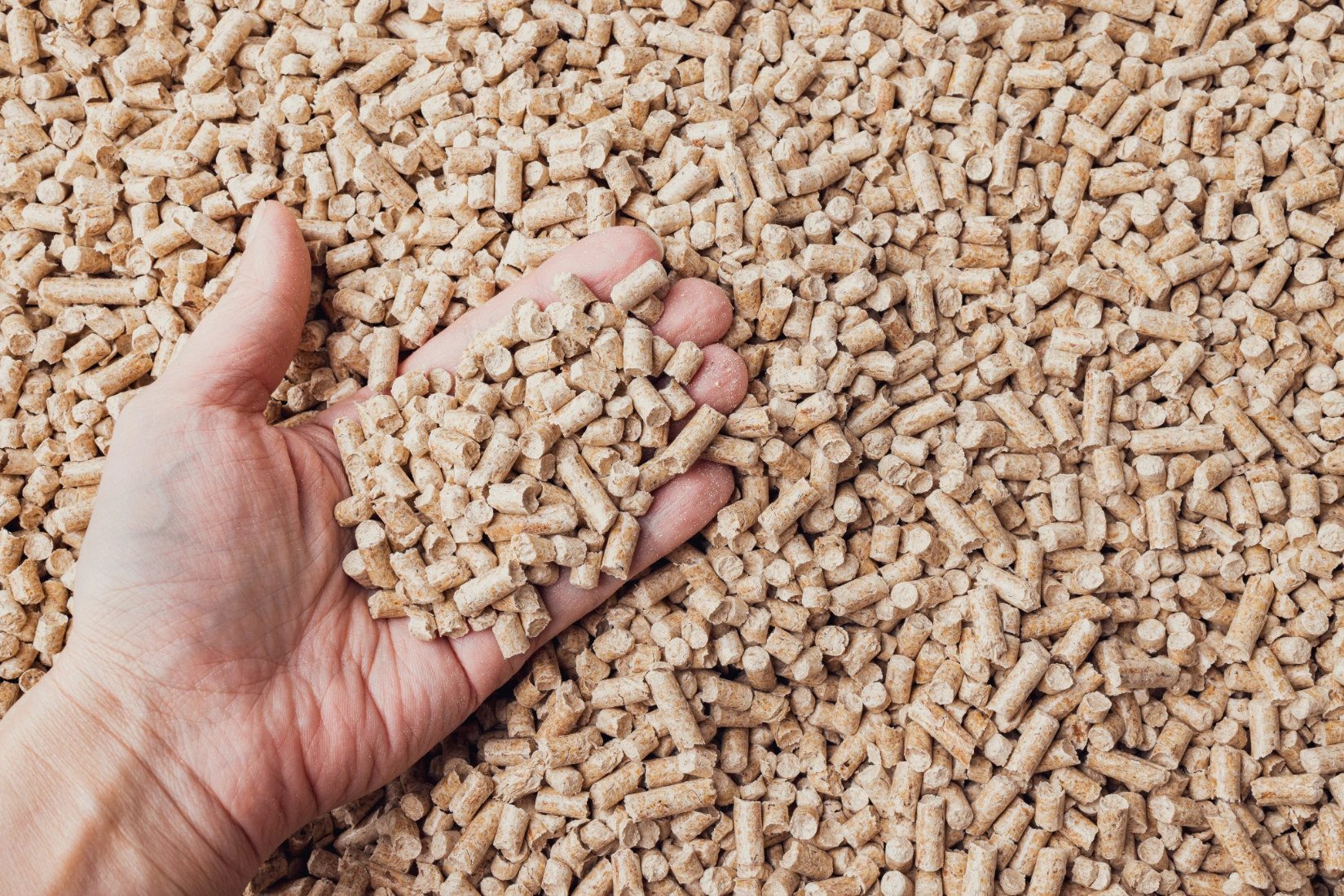 Zdjęcie - pellet